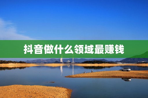 抖音做什么领域最赚钱