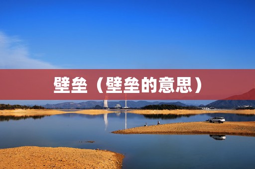 壁垒（壁垒的意思）