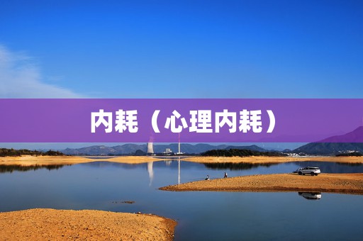 内耗（心理内耗）