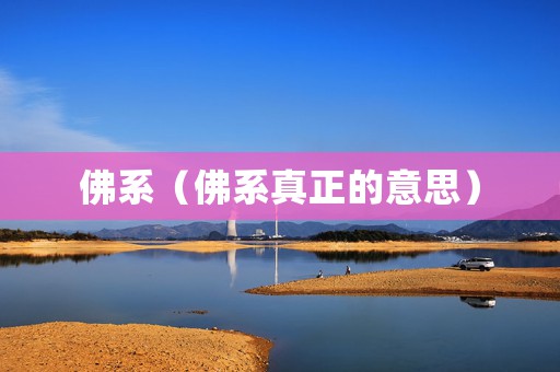 佛系（佛系真正的意思）