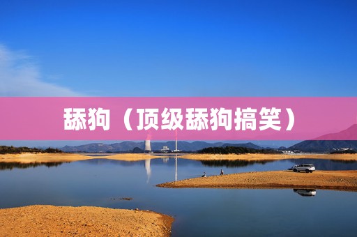 舔狗（顶级舔狗搞笑）