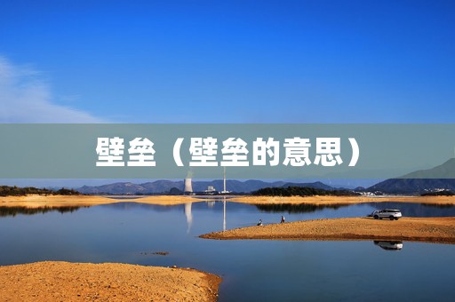 壁垒（壁垒的意思）